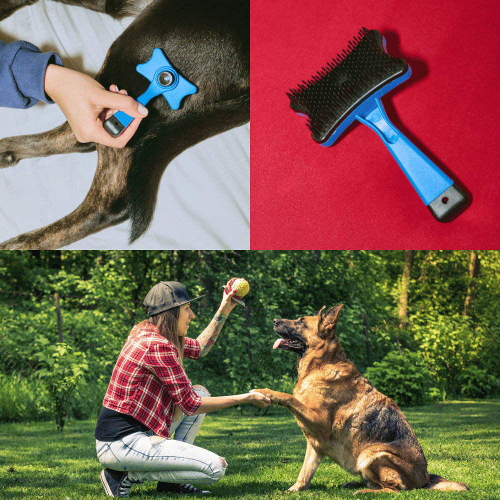 The Best Dog Brushes for German Shepherds