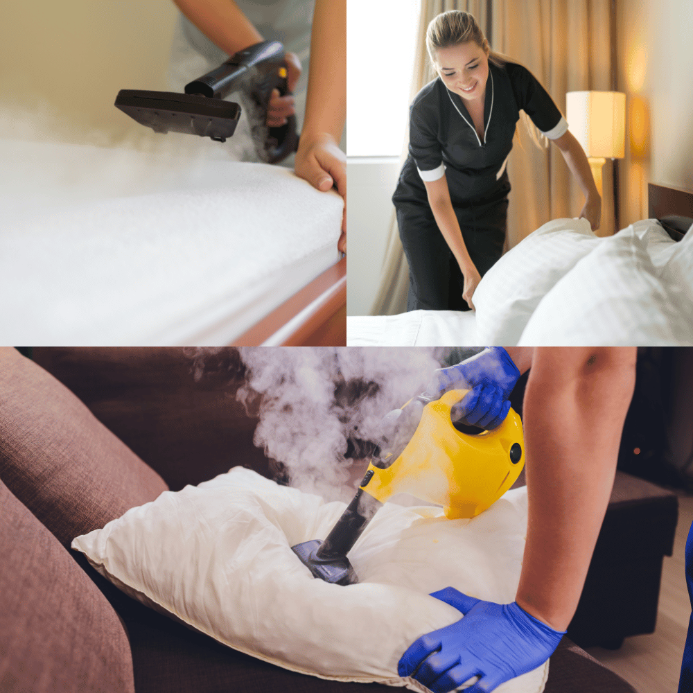The Best Steamer for Bed Bugs A Comprehensive Review