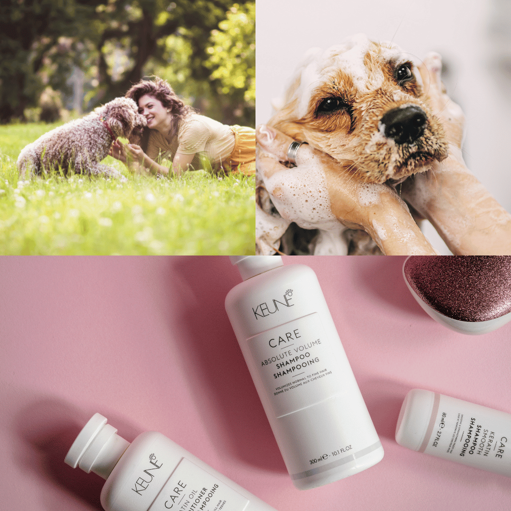 The Best Deshedding Dog Shampoos According to Vets