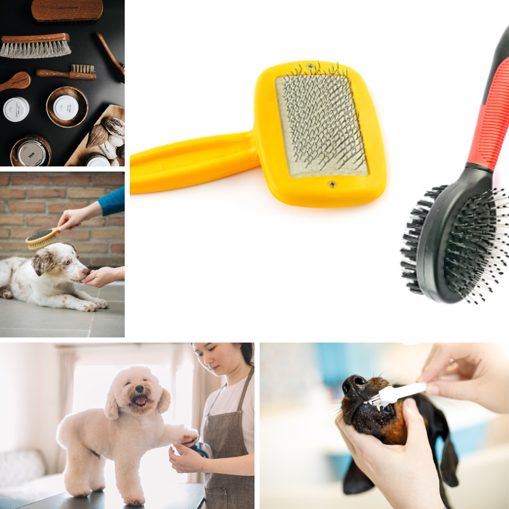 The Best Brush for Labs and Anxiety Amazon