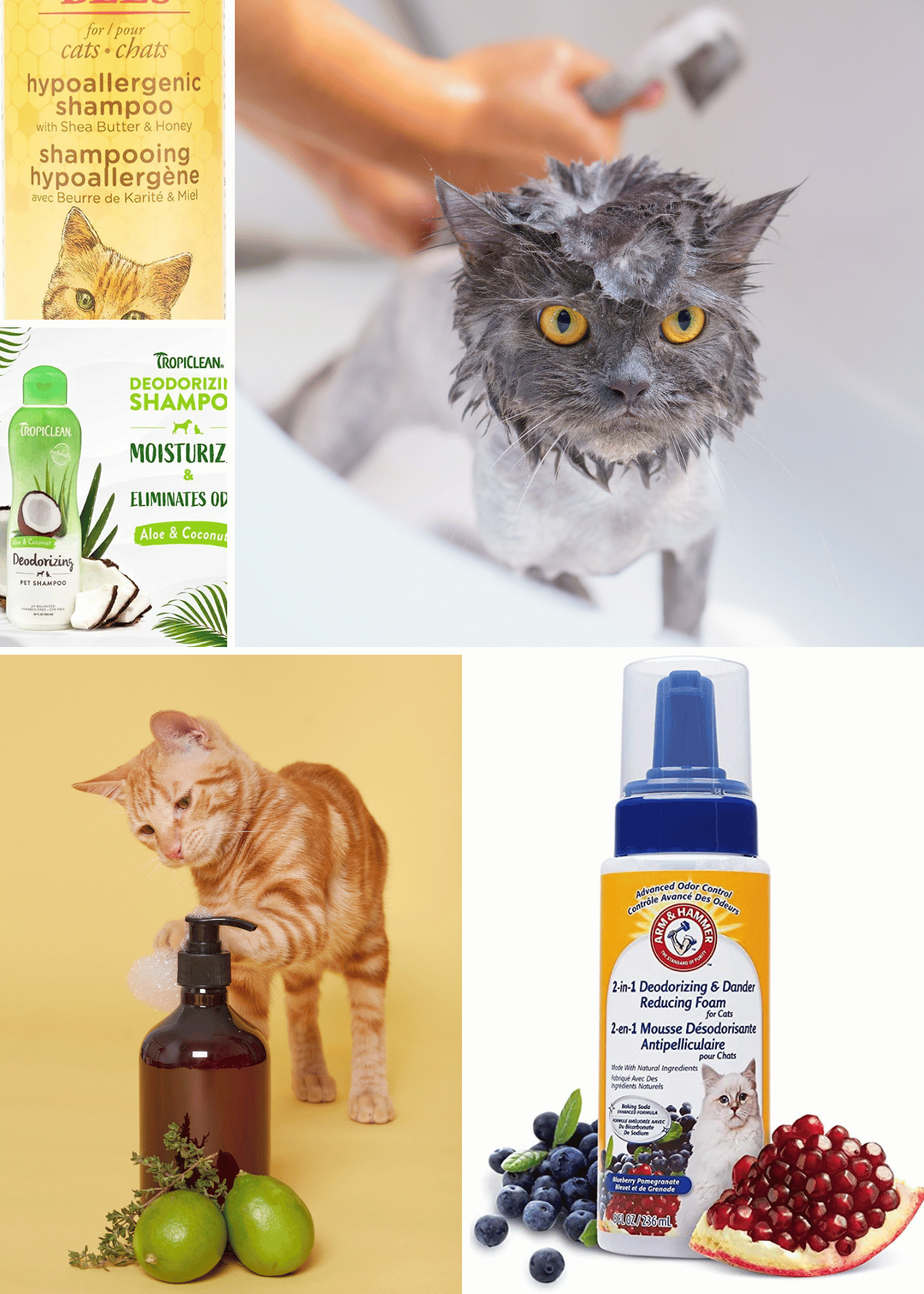 Best Cat Shampoo