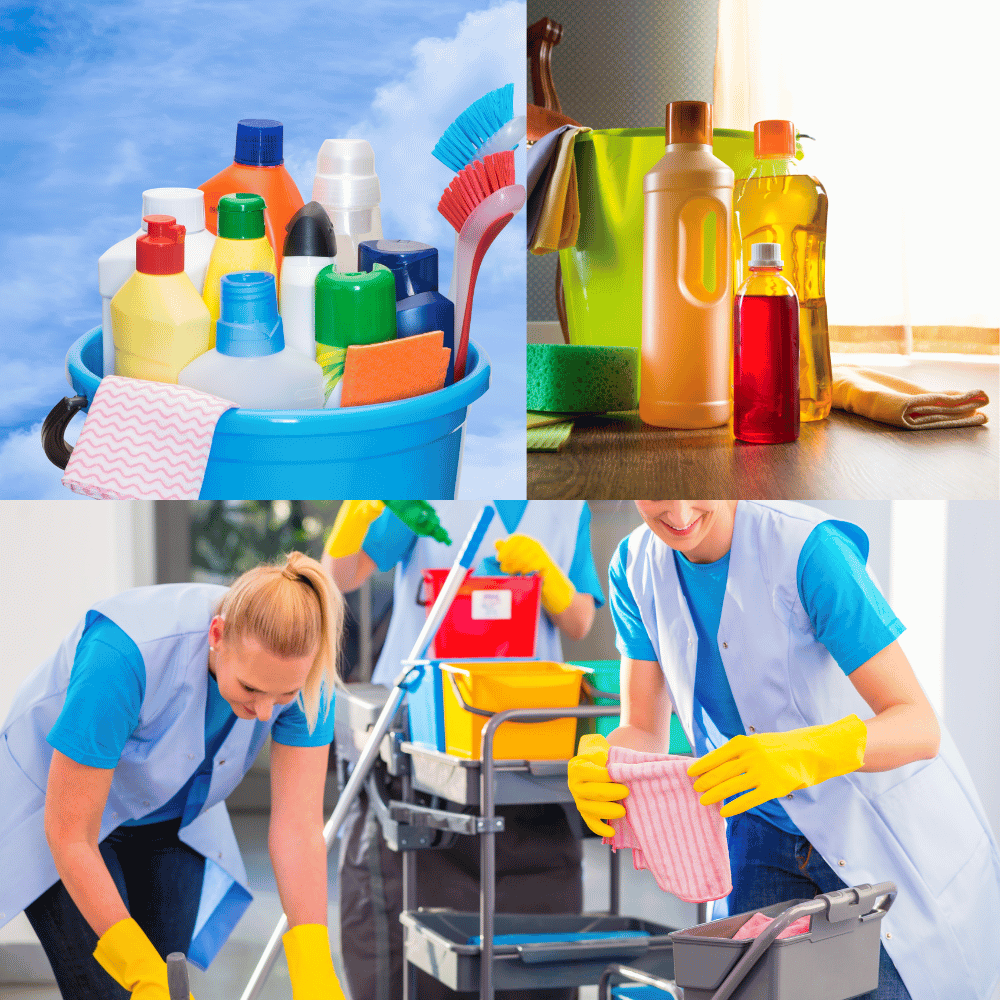 The Best EnzymeBased Cleaners to Freshen Up Your Home