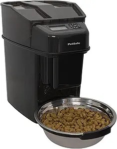 Best Slow Feeder Dog Bowls That Will Transform Mealtime for Your Furry Friend