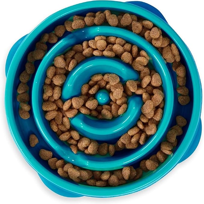 Best Slow Feeder Dog Bowls That Will Transform Mealtime for Your Furry Friend