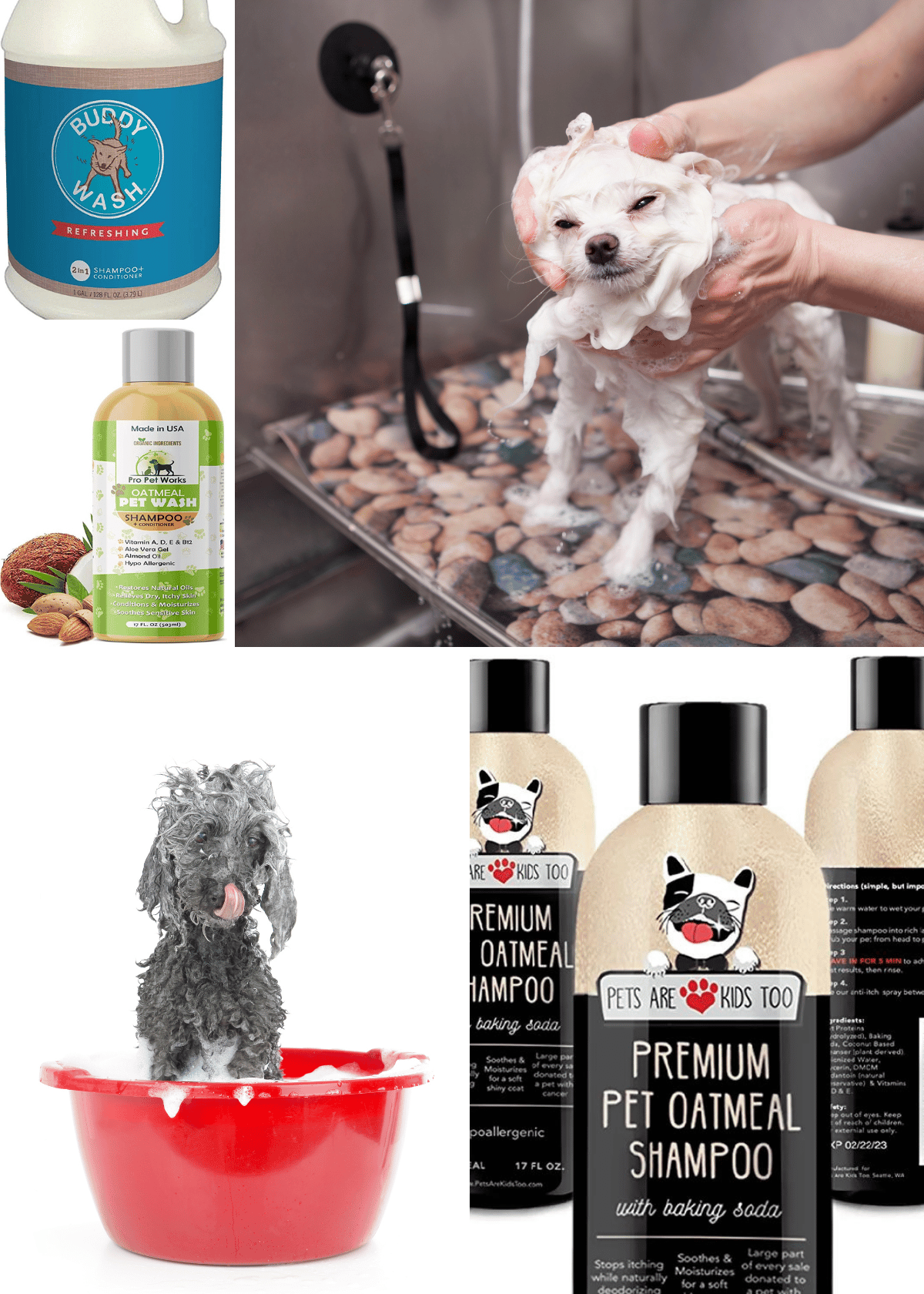 Best-Smelling Dog Shampoo