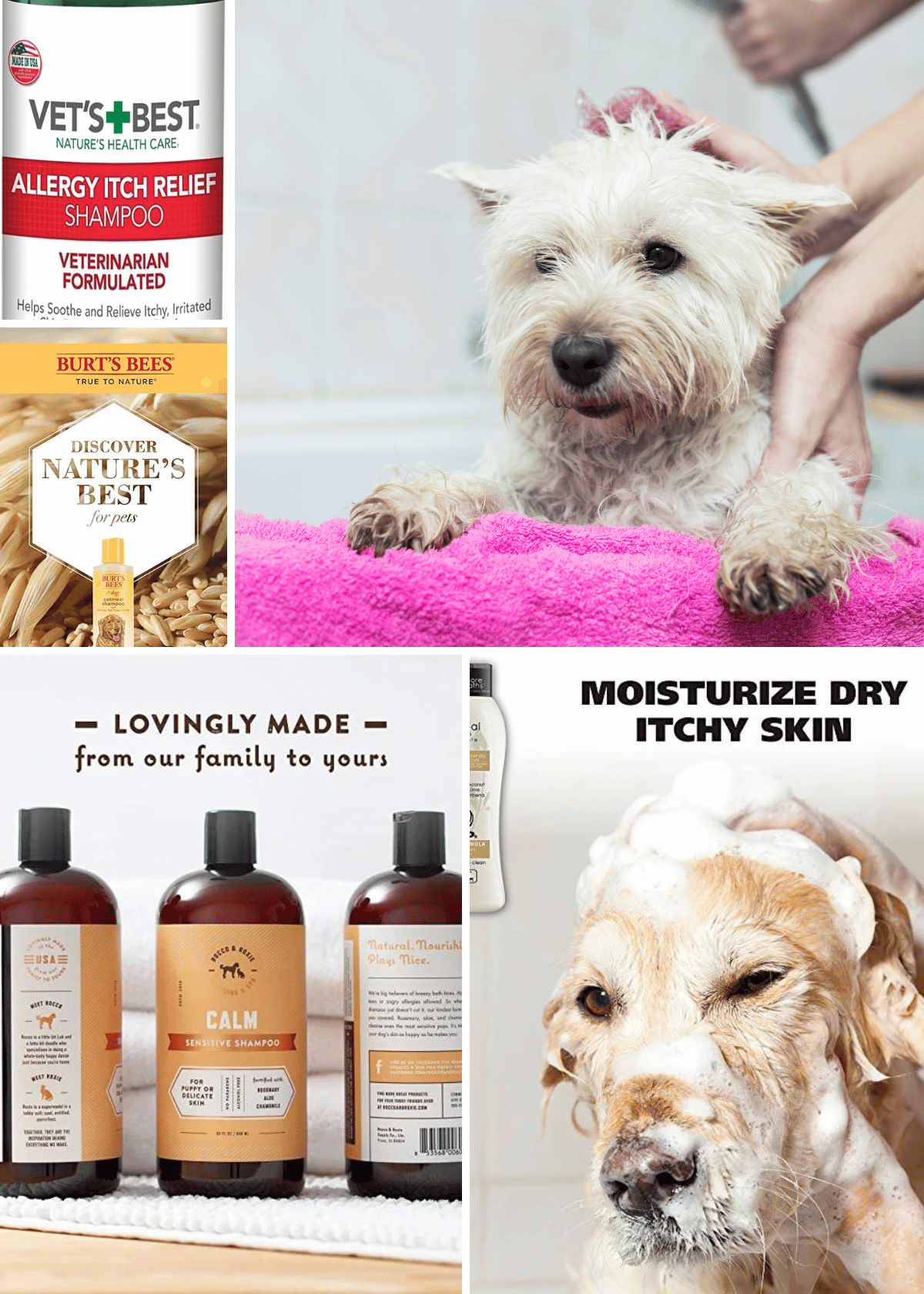 Best dog shampoo for itchy skin