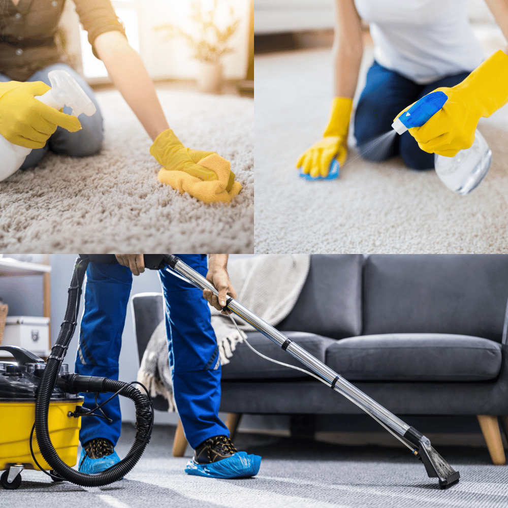 The Best Carpet Cleaner You’ve Never Heard Of: Enzyme Carpet Cleaner