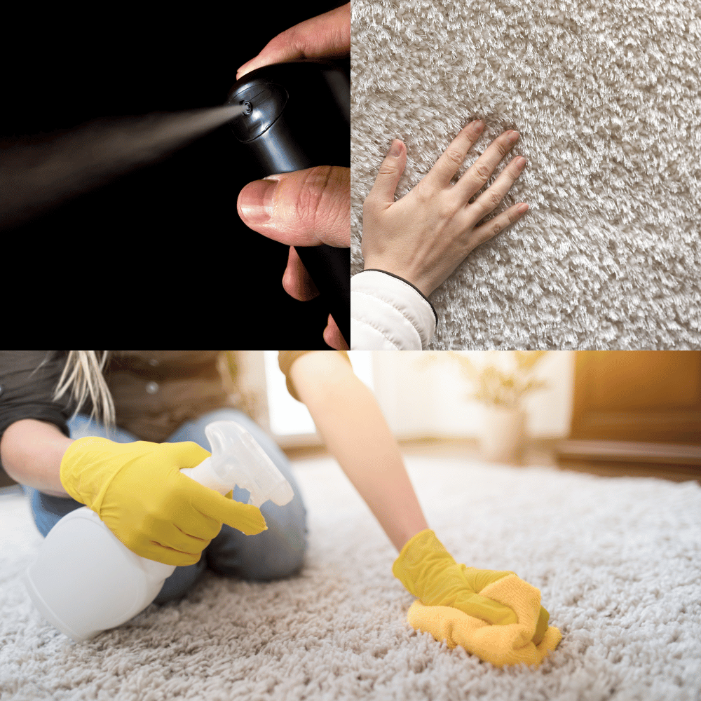 The Best Carpet Deodorizers to Keep Your Home Smelling Fresh