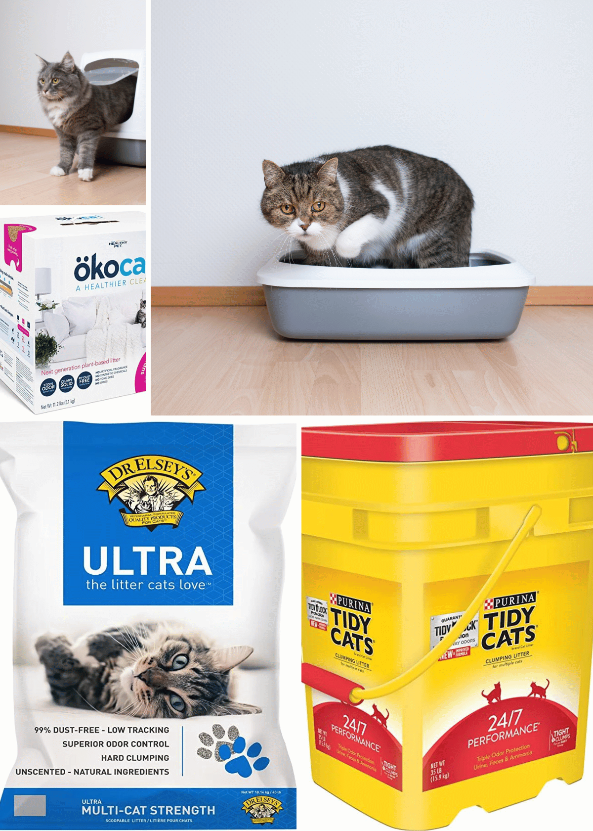 Best cat litter for odor control