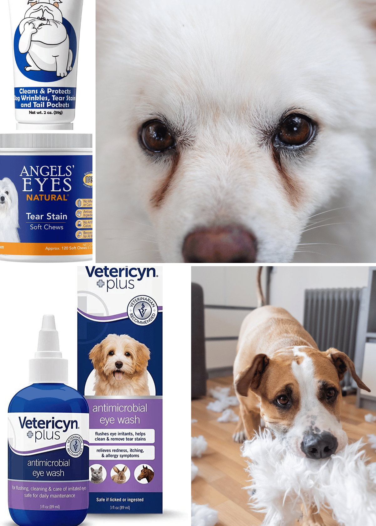 Best Dog Tear Stain Remover