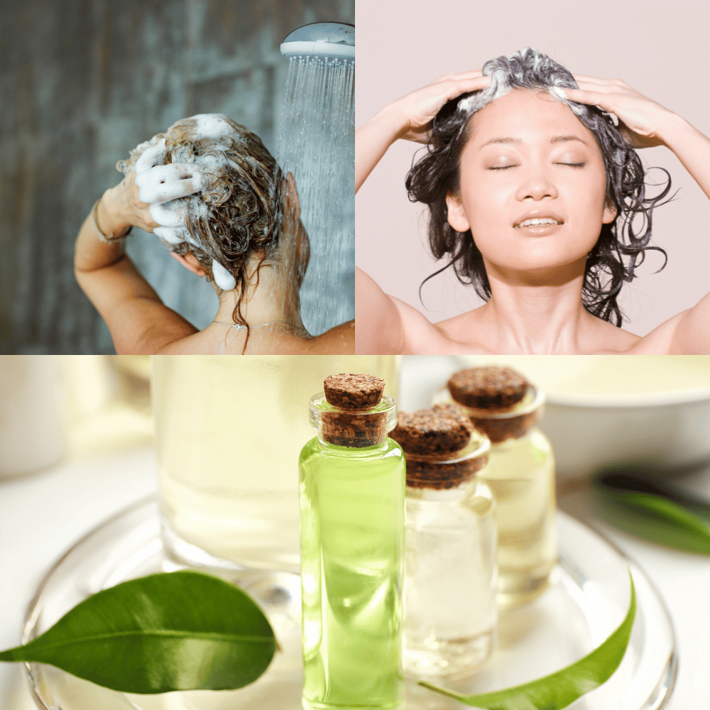 The Best Tea Tree Shampoo: Our Top Picks