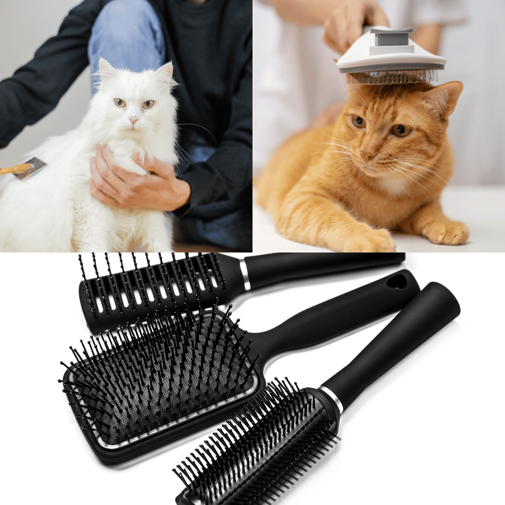 The Best Cat Brushes For Long Hair – A Comprehensive Review