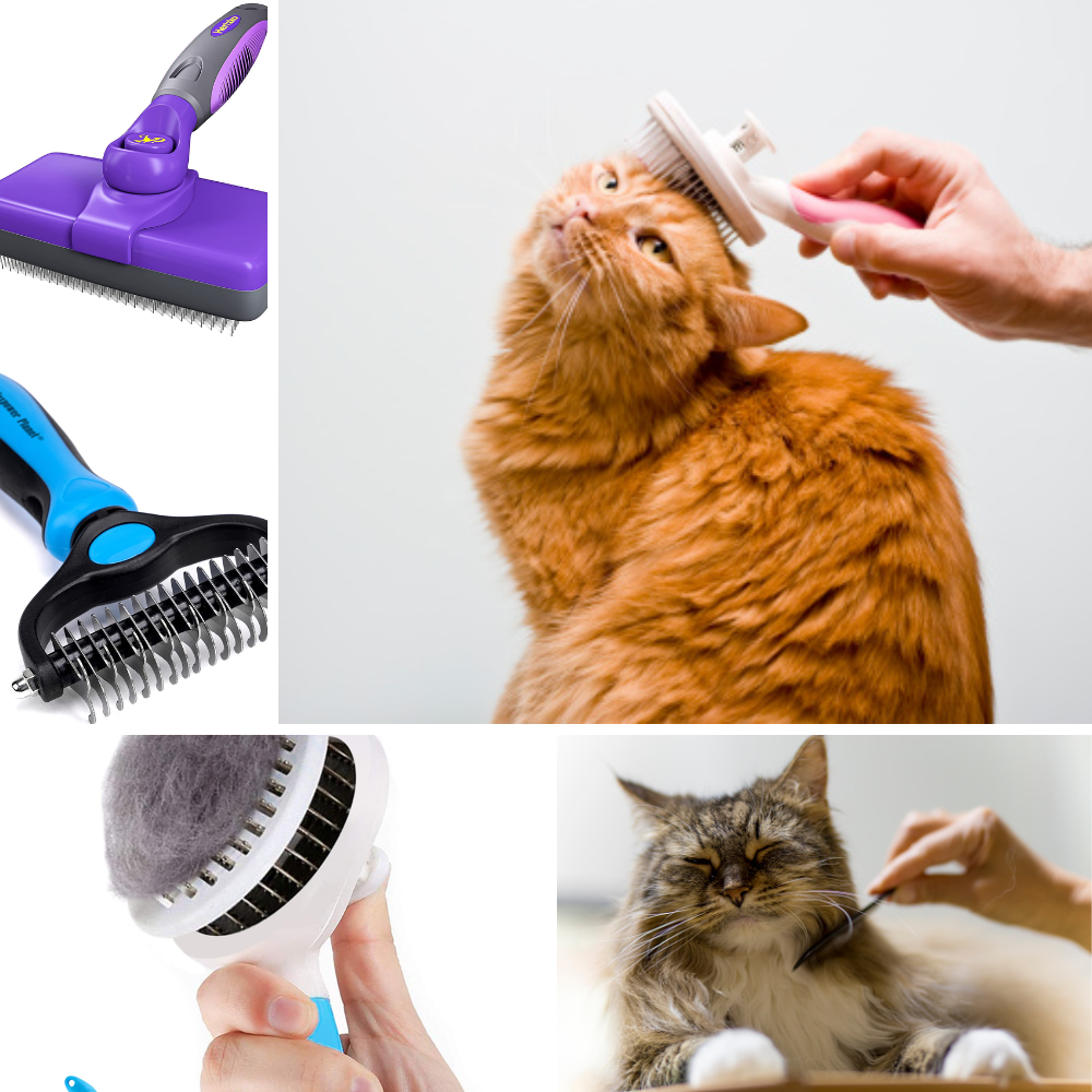Best cat brush for shedding