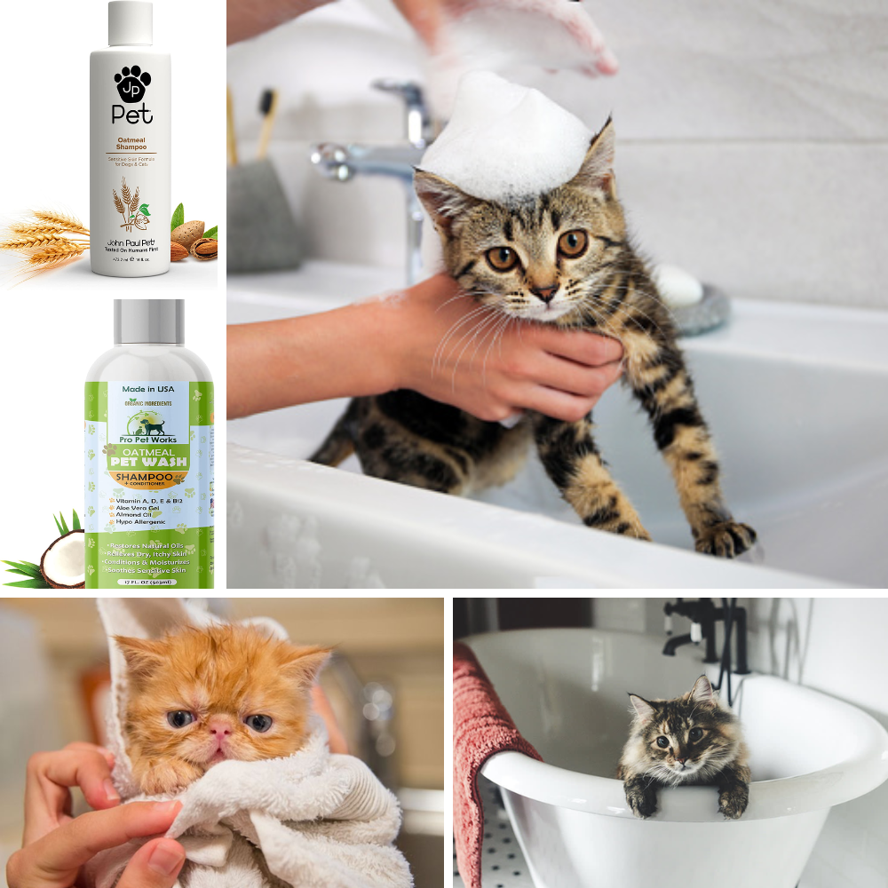 Best shampoo for cats