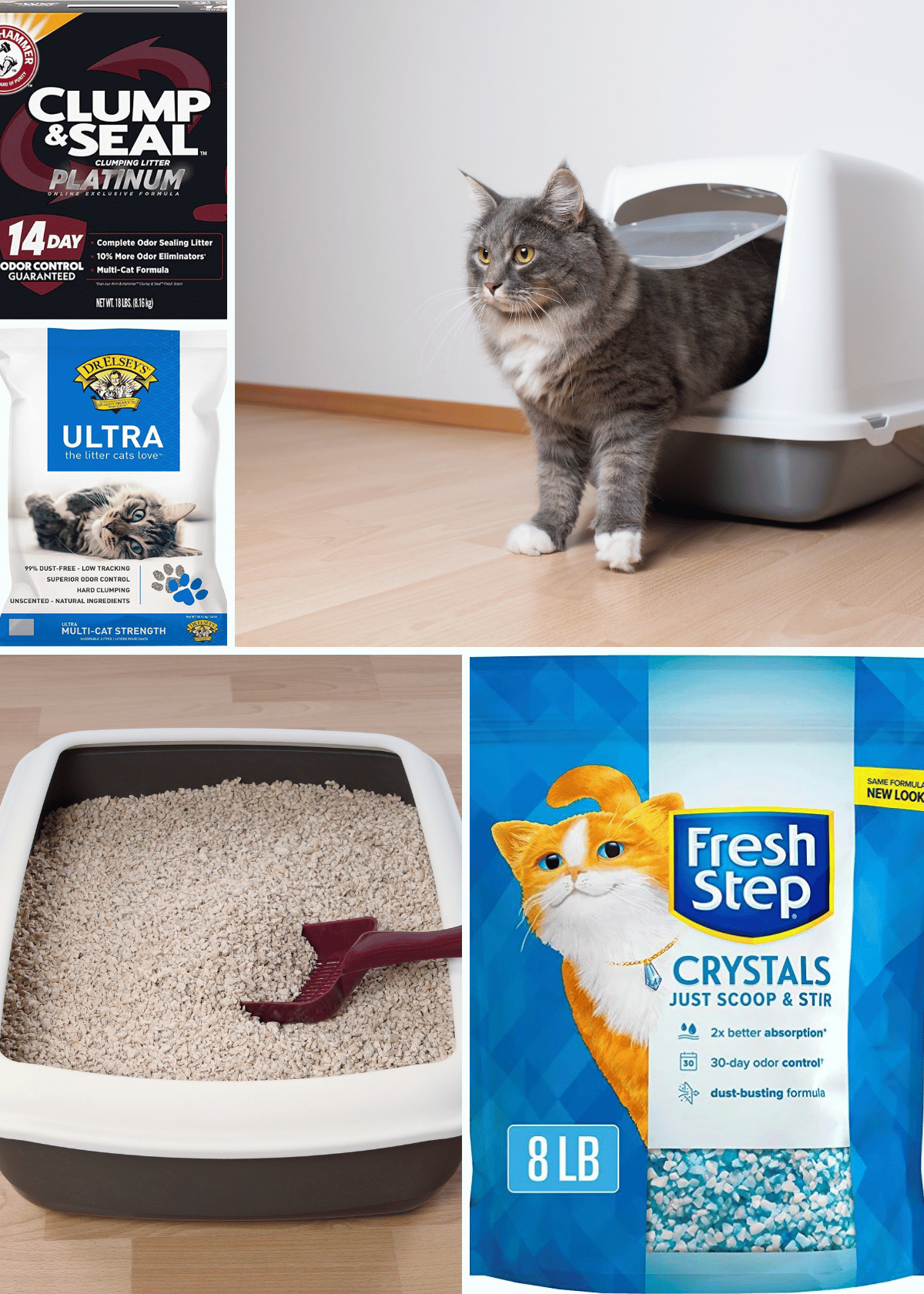 Best Odor Control Cat Litter