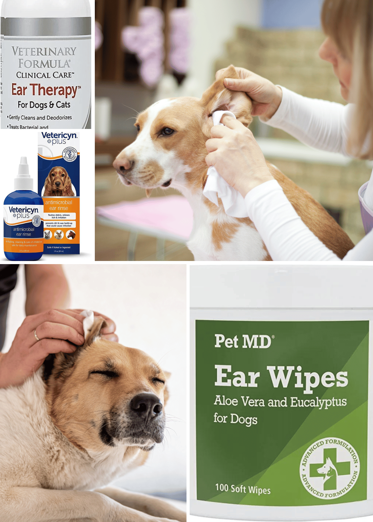 Best Dog Ear Cleaner