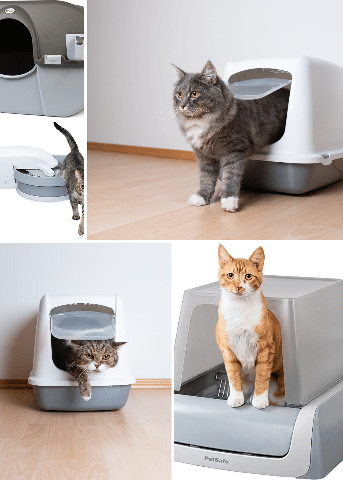Best Litter For Litter Robot