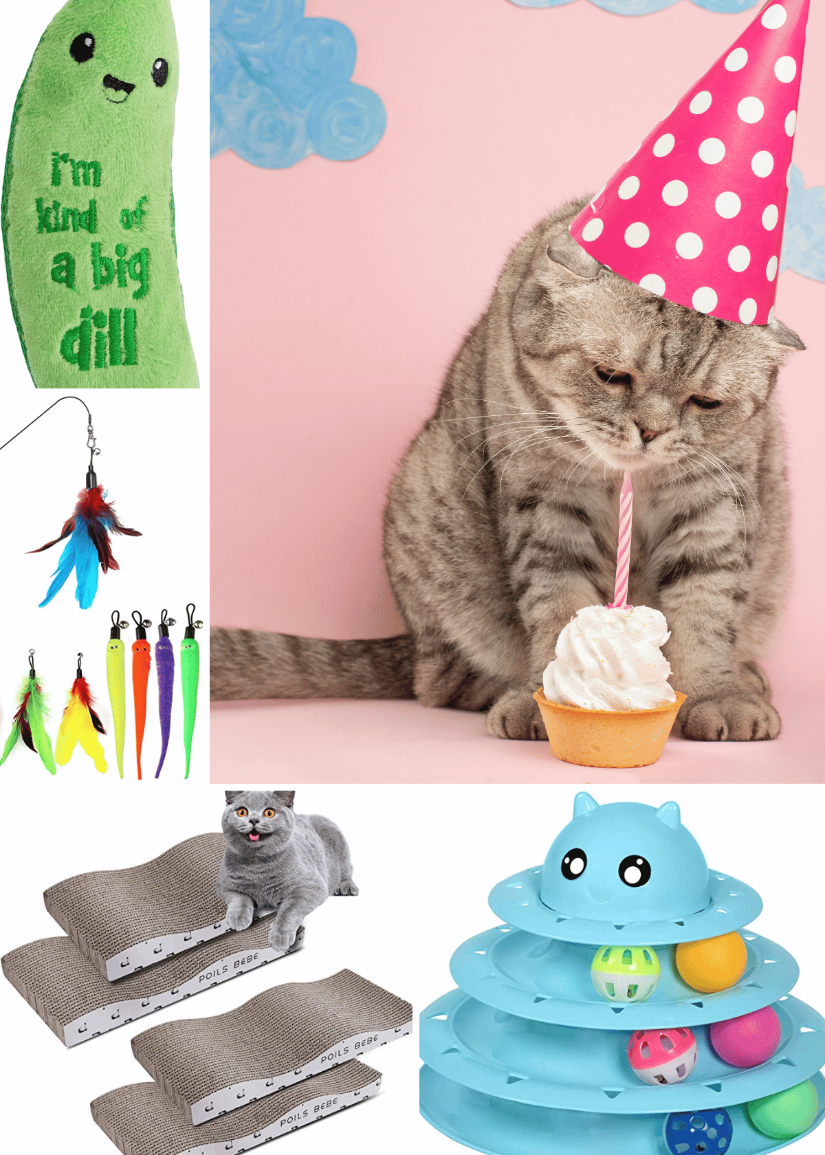 cat birthday gifts