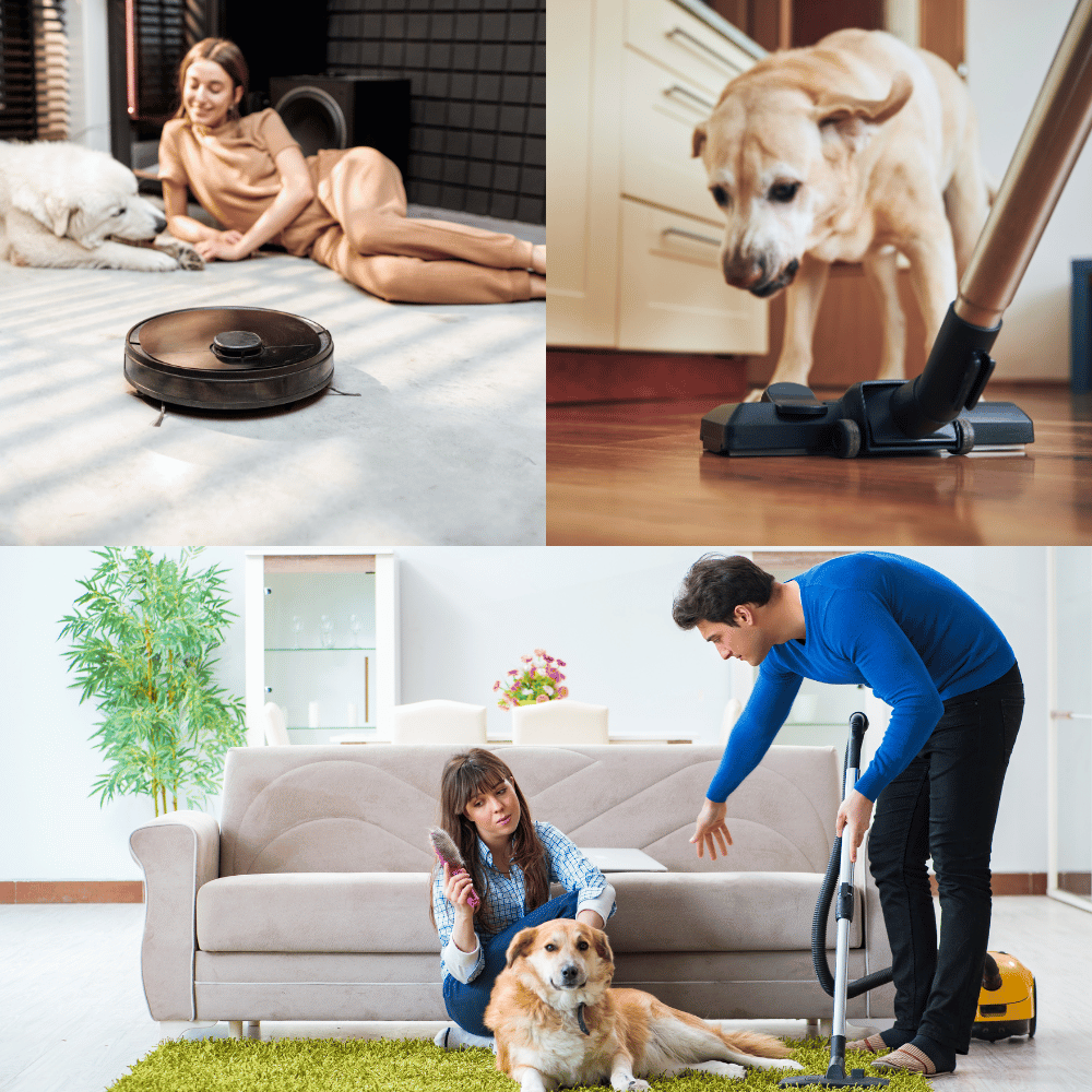 Discover the Pro Pet Bagless Upright Vacuum Cleaner: The Ultimate Weapon Against Pet Hair