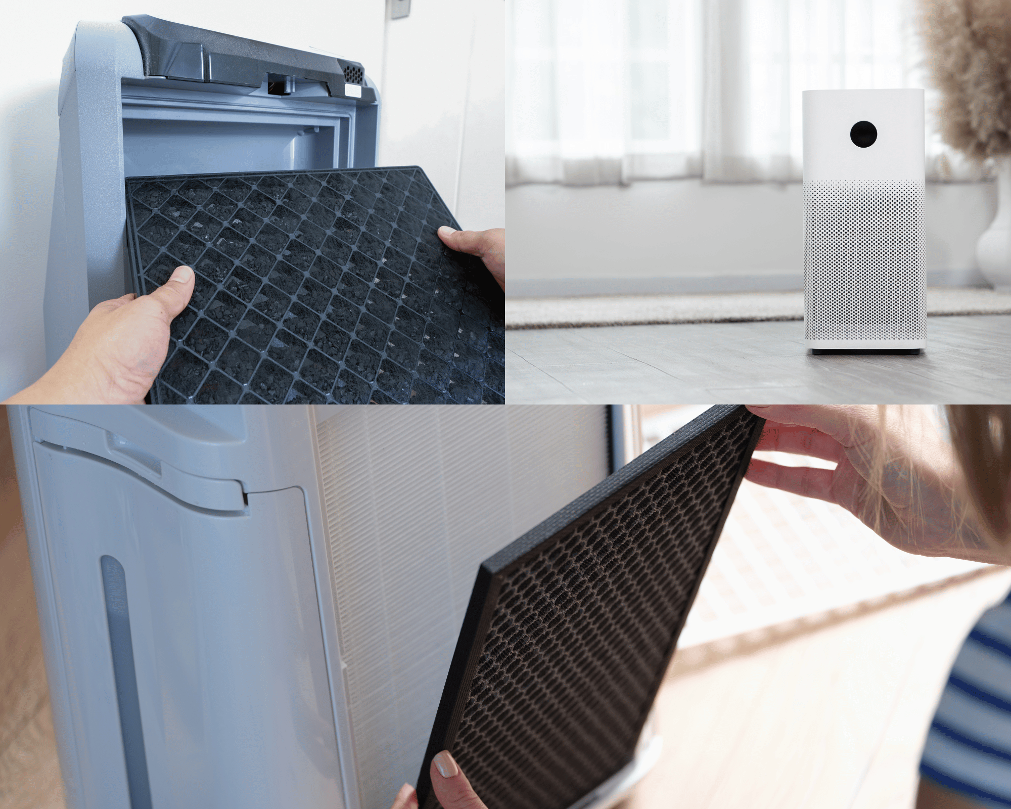 Breathe Easy: Top Shark Air Purifier Filters That Last the Longest!