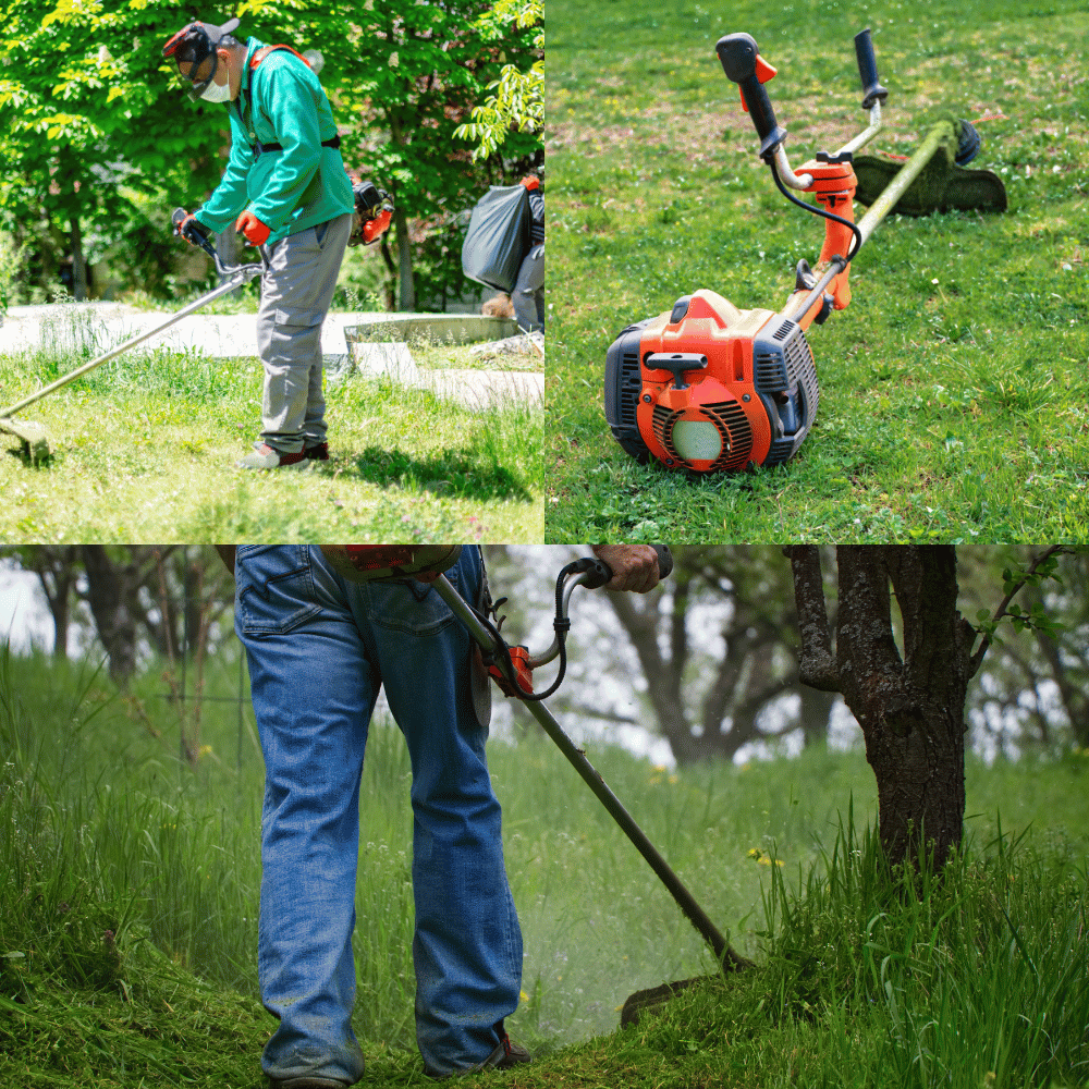 Three Best Brush Cutters Which One is Right for You?