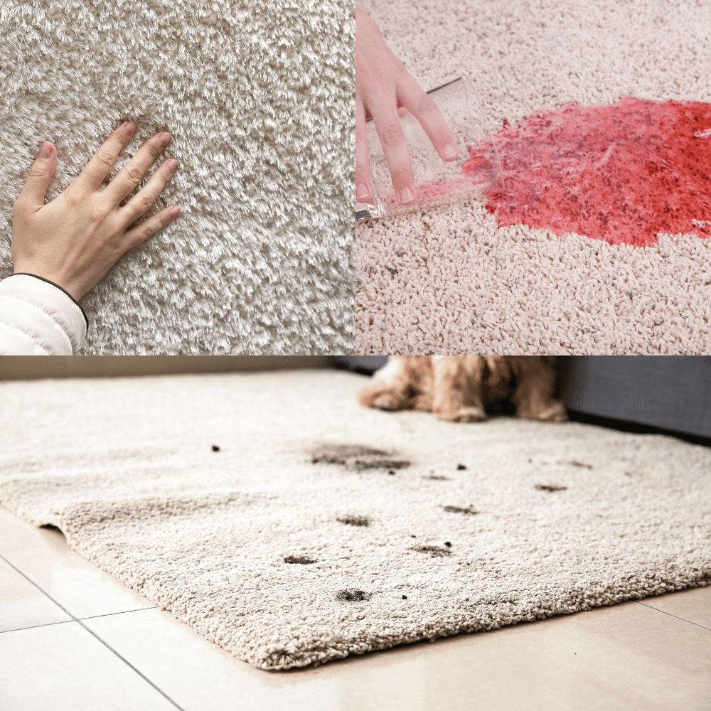 Never Worry About Stains Again with Stain Resistant Carpets