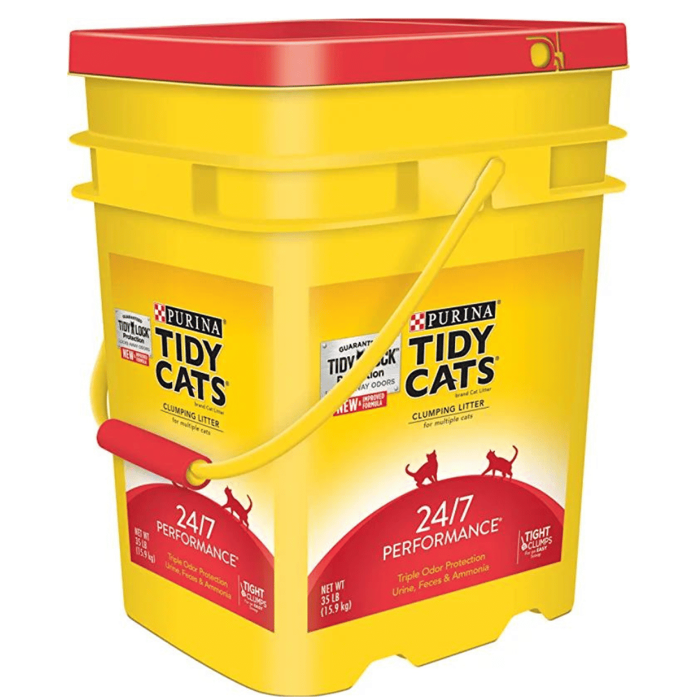 Best cat litter for odor control