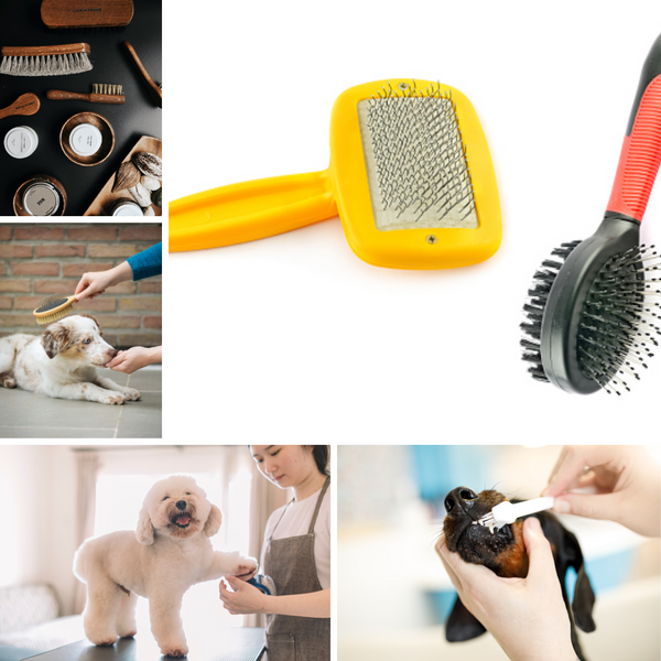 The Best Brush for Labs and Anxiety Amazon