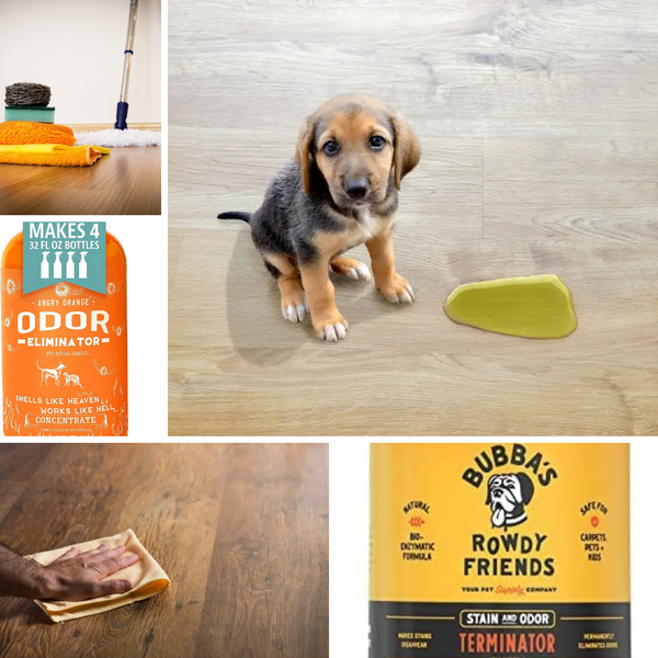 The Best Cleaner for Dog Urine on Hardwood Floors Amazon