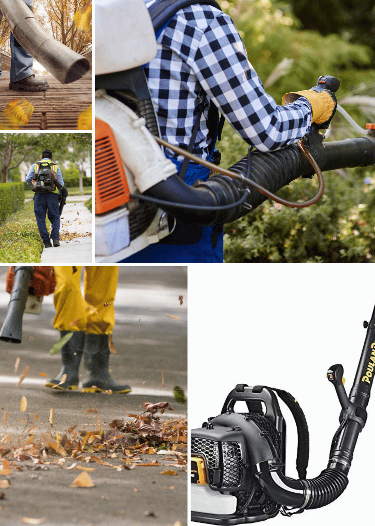 Best Gas Leaf Blower