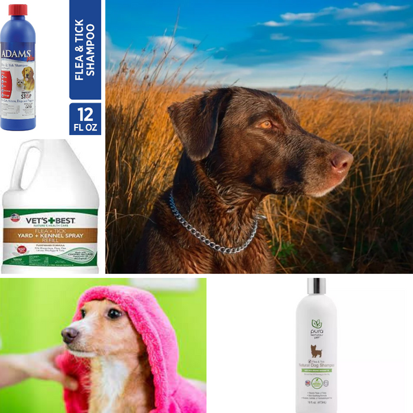 The BVets' best flea and tick shampoo Vets' best